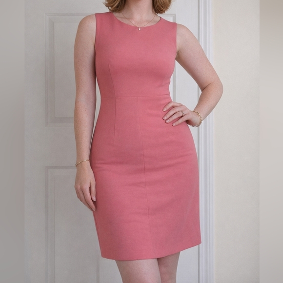 Diane Von Furstenberg Dresses & Skirts - Diane Von Furstenberg Pink Sheath Dress